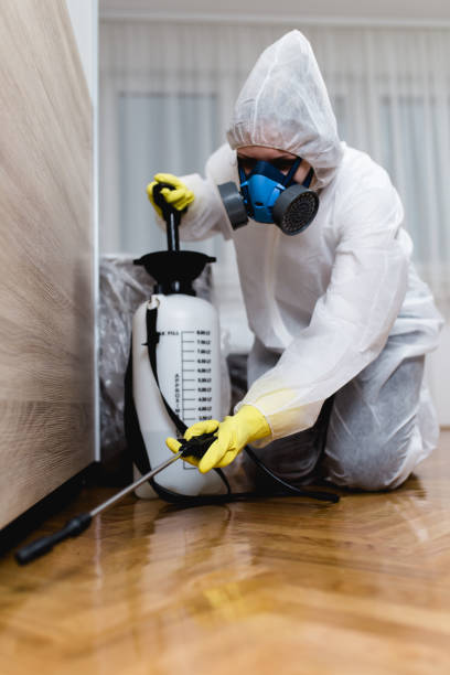 Best Termite Inspection and Treatment  in Northlake, SC